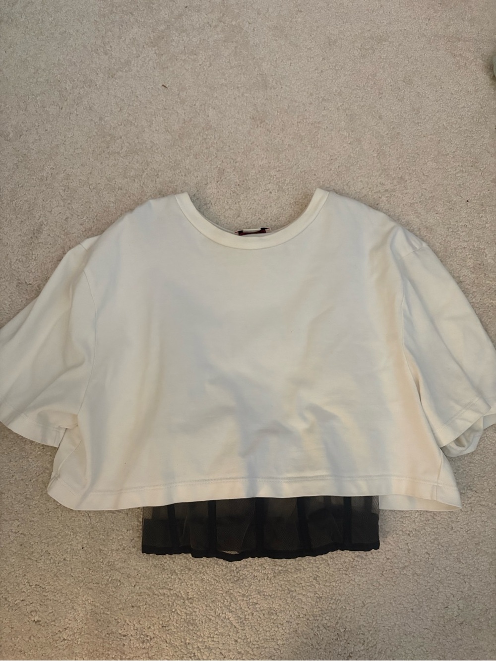 Alexander McQueen Cream Short Sleeve Tee with Black Mesh Hem